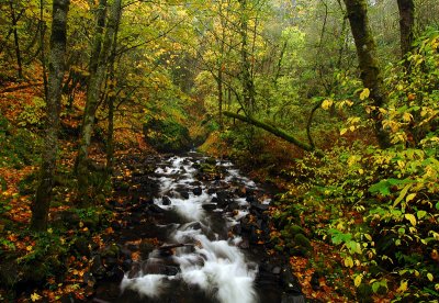 Bridal Veil Creek #3