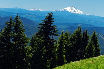 Mount Jefferson from Timberline Trail