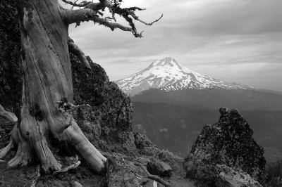 Mount Hood from Lookout Mountain #1