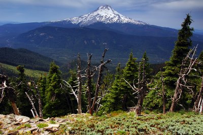 Mount Hood from Lookout Mountain #2