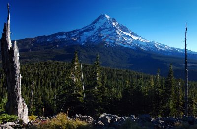 Mount Hood from Owl Point, #2