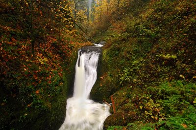 Upper Oneonta Falls (Autumn #1)