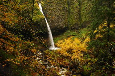 Ponytail Falls (Autumn #1)