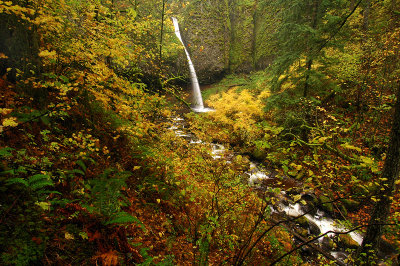 Ponytail Falls (Autumn #2)