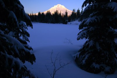 Mount Hood from Mirror Lake, Winter Study #1