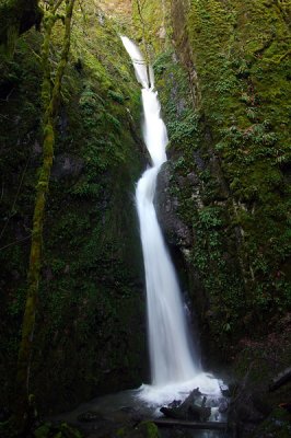 Lower Soda Falls, winter study