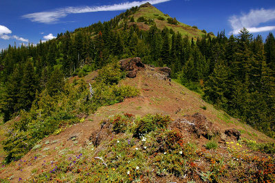 Cone Peak western view
