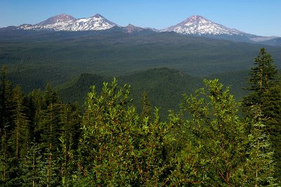 Three Sisters from near Taylor Castle