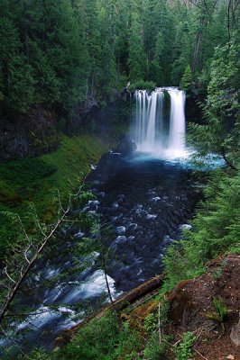 Koosah Falls, Study 7