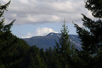 Indian Mountain and Mount Hood from Ruckel Creek Trail