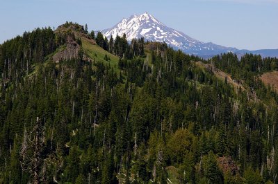 Mount Jefferson from Browder Ridge summit