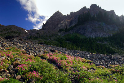 Three-Fingered Jack from above Canyon Creek Meadows