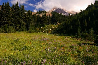 Cairn Basin