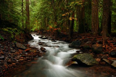 Pamelia Creek, 2007 study 2