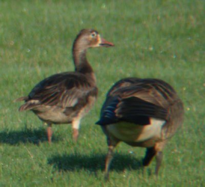 g6/61/576661/3/78228448.drk3w69Z.jpg