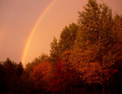 Autumn Rainbow