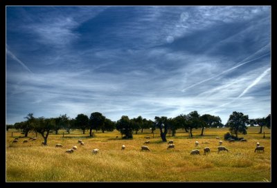 g6/61/597061/3/78679268.in2F8ZIo.jpg