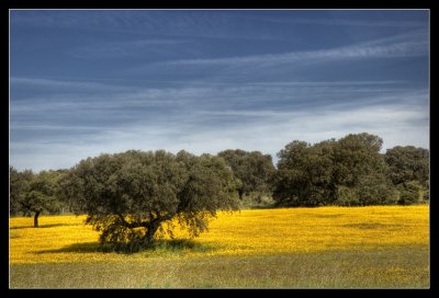 g6/61/597061/3/78846210.9wkCd6xx.jpg