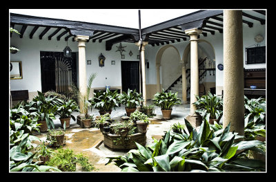 El Patio de la casa de La Torre