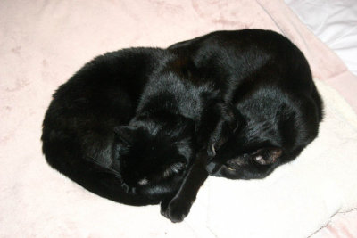 Smokey and Fliss