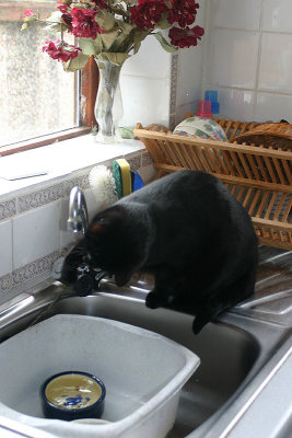 Playing With Water