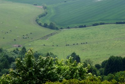 North Yorkshire