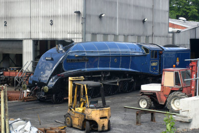 NYMR: A4 Pacific No. 60007 Sir Nigel Gresley (3)