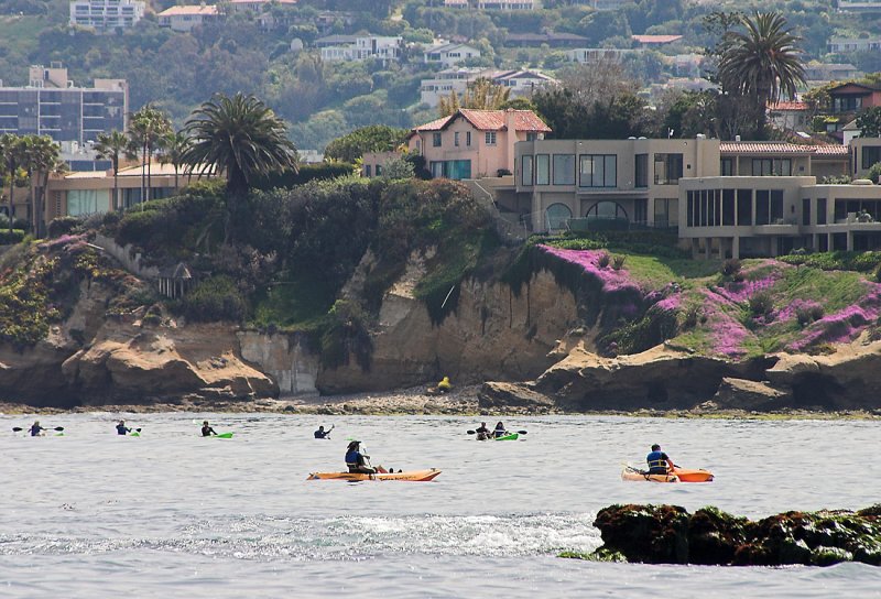 The Kayakers