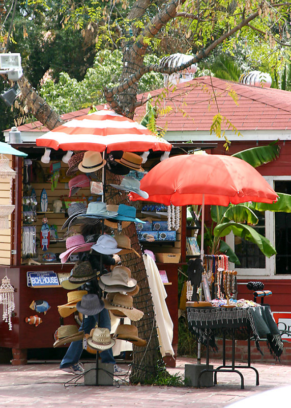 Hats and Umbrellas