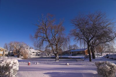Winter