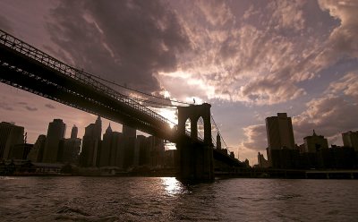 The Brooklyn Connection