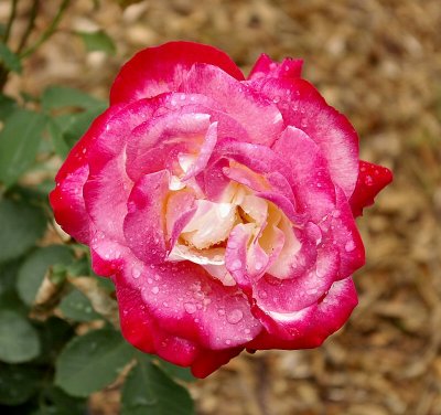 IMGP1722.JPG