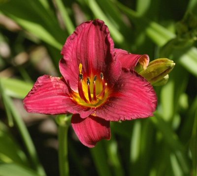 IMGP2236.JPG