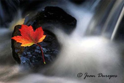 Autumn Waterfall