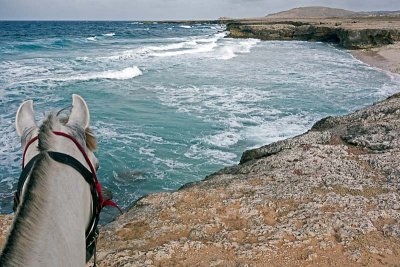 Blanca looks over the coast