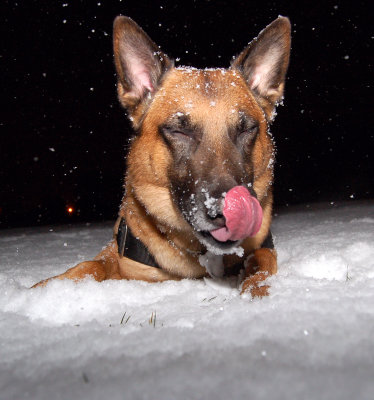 Catching Snowflakes