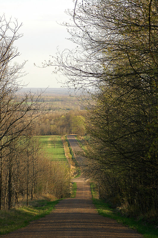 In the Blue Hills