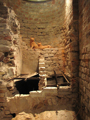 Basement dating back to the 13th century