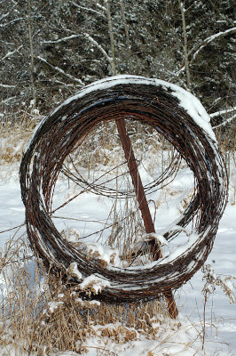 Retired Barbwire