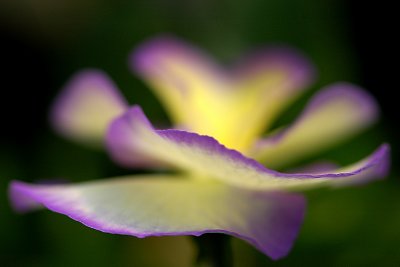 g6/61/751361/3/76935100.Rdx1ELET.jpg