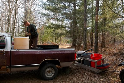Pumping the sap in a tank for transportation