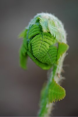g6/61/751361/3/77959384.ctzCyI6p.jpg