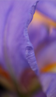 g6/61/751361/3/79653707.x1lpMQRL.jpg