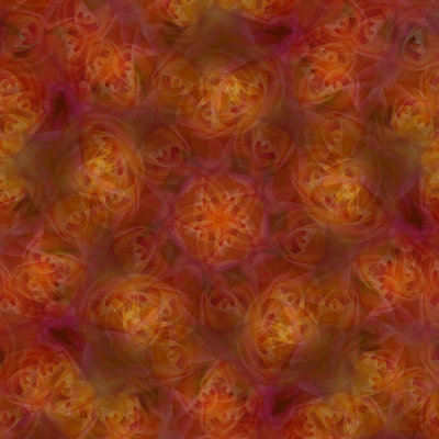 Rose orange 6.jpg