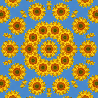 Sunflower2 3.jpg