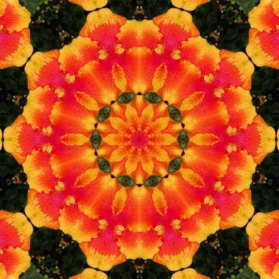 Hibiscus 6.jpg