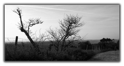 Truleigh Hill, Sussex 2.jpg