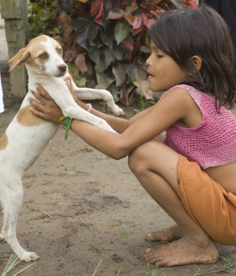 brincando com o cachorro (playing with dog)