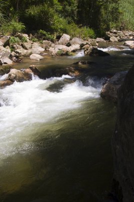 riacho com pedras 2 (small river with rocks 2)