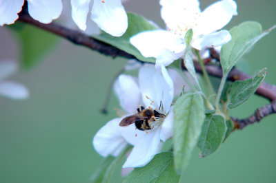 DSC_2482a.jpg